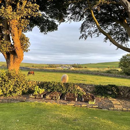 Galloway Farmstay Claunch Newton Stewart Exterior photo