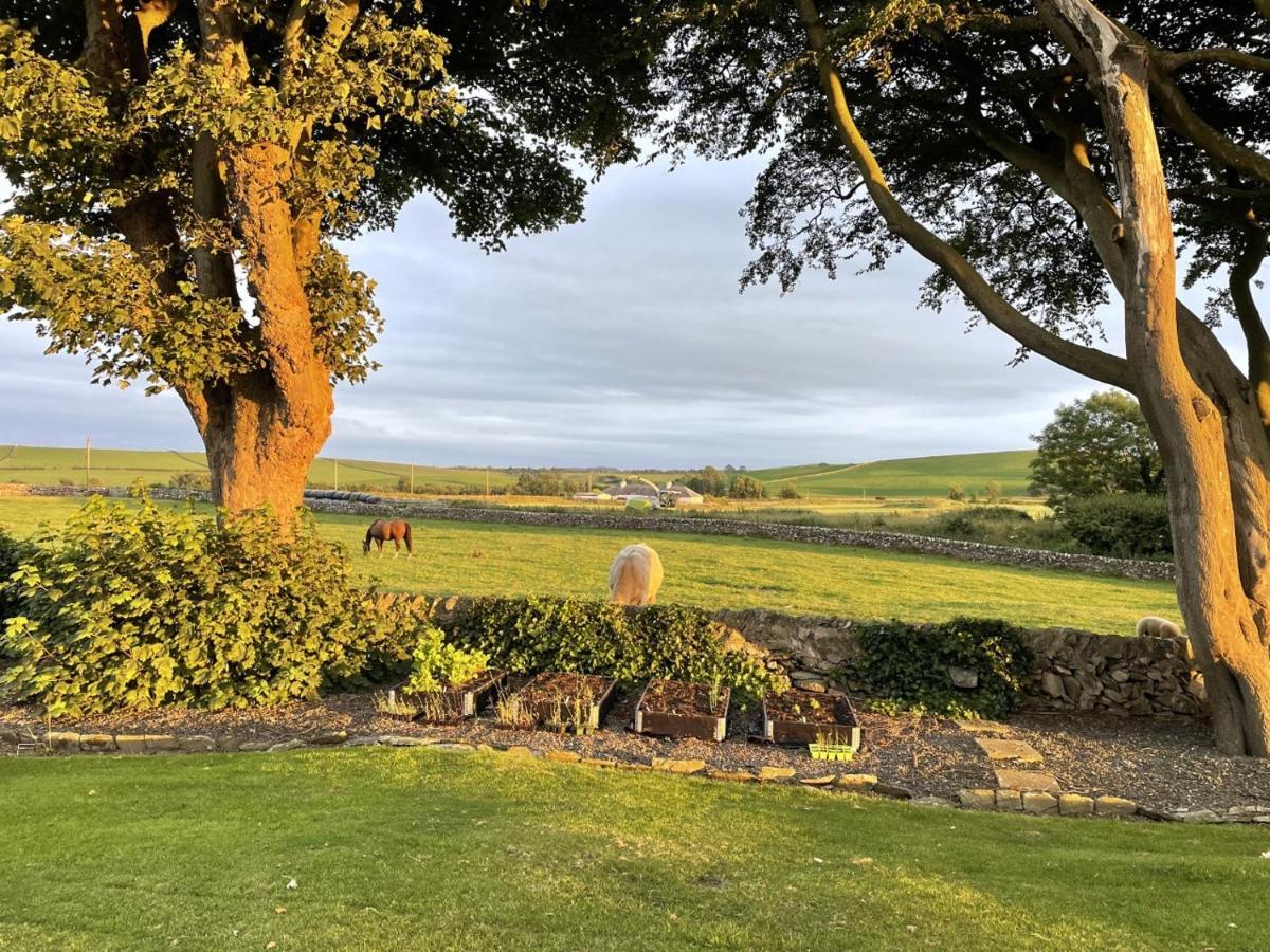 Galloway Farmstay Claunch Newton Stewart Exterior photo